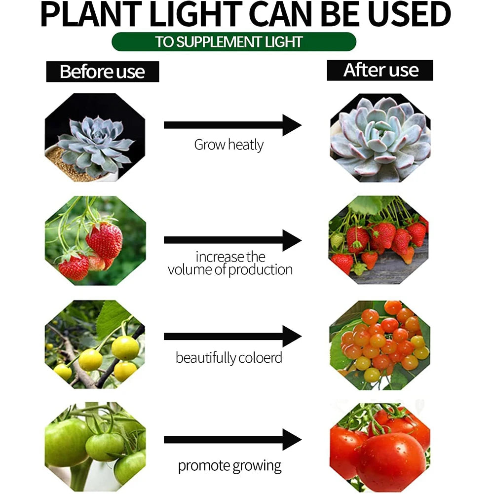 Full Spectrum Grow Lights with Auto On/Off Timer Plant Growing Lamp Height Adjustable for Plants Flowers Greenhouse Hydroponic