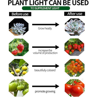 Full Spectrum Grow Lights with Auto On/Off Timer Plant Growing Lamp Height Adjustable for Plants Flowers Greenhouse Hydroponic