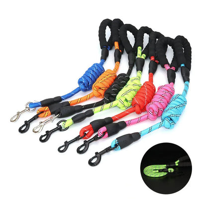 Reflective Dog Leash With Padded Handle For Safety - Smarsty