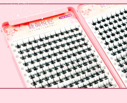 32 Rows Individual Eyelash Extensions for Professional Use - Smarsty