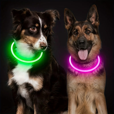 USB Rechargeable LED Dog Collar for Safety - Smarsty