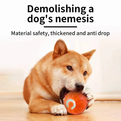 Interactive Smart Dog Toy Ball For Active Play - Smarsty