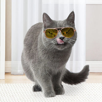 Vintage Round Dog Sunglasses for Stylish Pet Photos - Smarsty