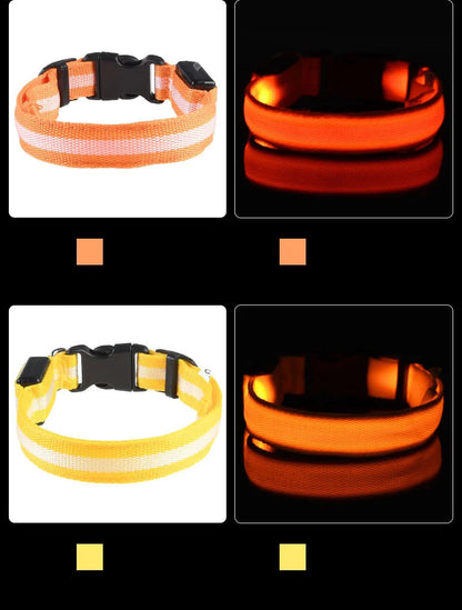 Nylon LED Glow In The Dark Dog Leash - Smarsty