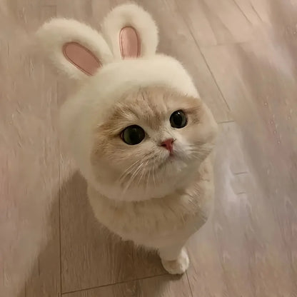 Bunny Ears Cat Hat Comfortable Knit Costume for Pets - Smarsty