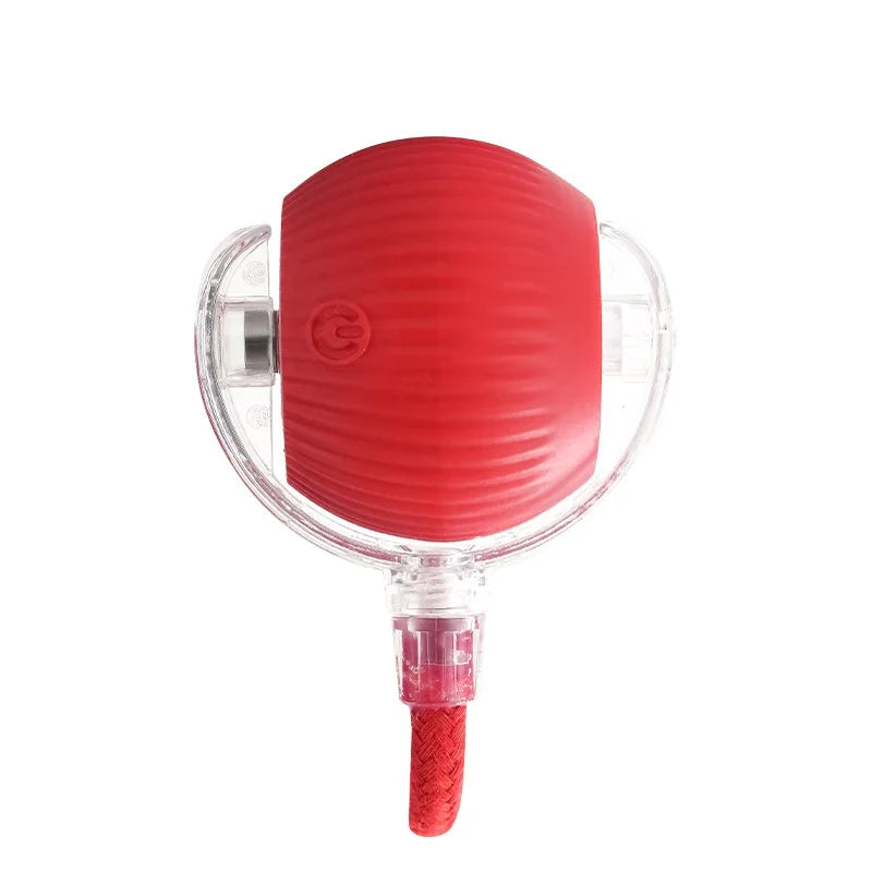 Rechargeable Interactive Cat Toy Smart Rolling Ball - Smarsty