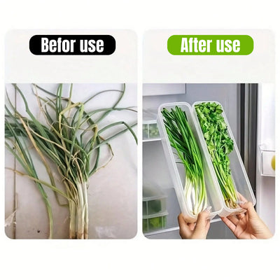 1/2/4Pcs Refrigerator Storage Boxes With Lid Plastic Fresh Keeping Box Kitchen Scallions Cilantro Eggs Noodles Sealed Container by Smarsty