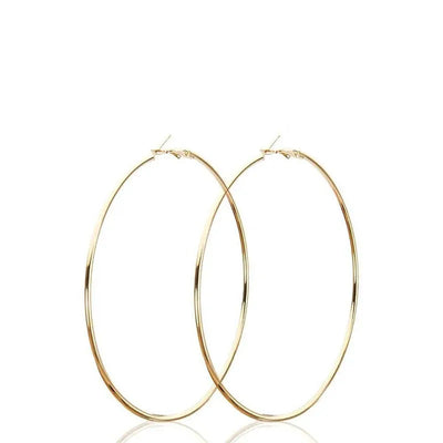 Stainless Steel Hoop Earrings Two Pair Adjustable Sizes - Smarsty