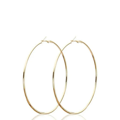 Stainless Steel Hoop Earrings Two Pair Adjustable Sizes - Smarsty