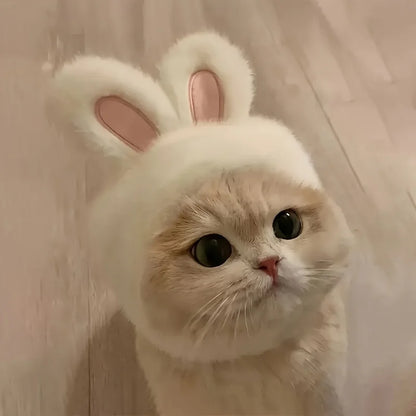 Bunny Ears Cat Hat Comfortable Knit Costume for Pets - Smarsty