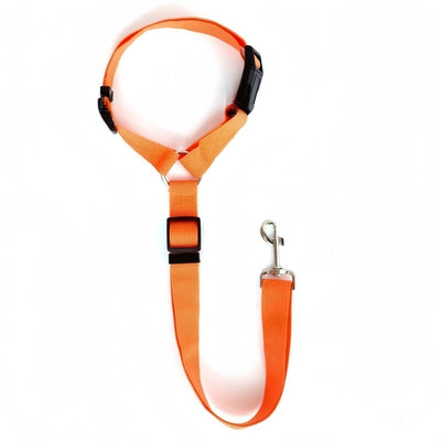 Adjustable Two-in-One Dog Car Seat Belt Leash - Smarsty
