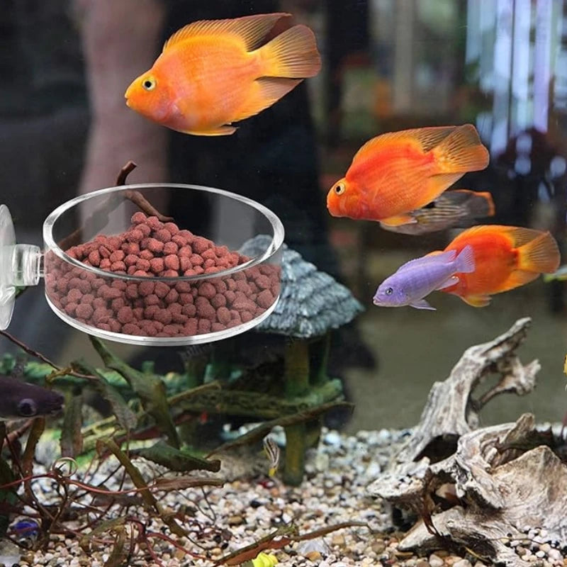 Mini Shrimp Feeding Dish with Suction Cup for Aquariums - Smarsty