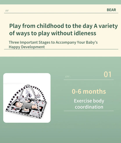 Baby Play Gym Mat With Rack For Tummy Time Crawling - Smarsty