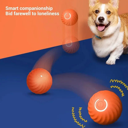 Automatic Moving Dog Toy Ball for Interactive Play - Smarsty
