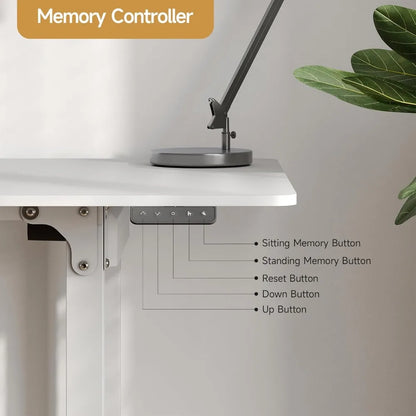 Standing Desk, 71x32 Inches Rectangle Stand Up Desk with 4 Legs, Dual Motor and Memory Controller, Adjustable Height from 28-46