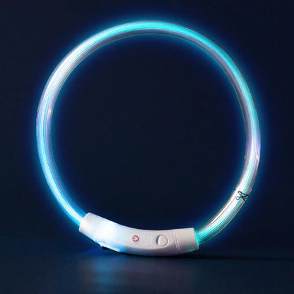 USB Rechargeable LED Dog Collar for Night Safety - Smarsty