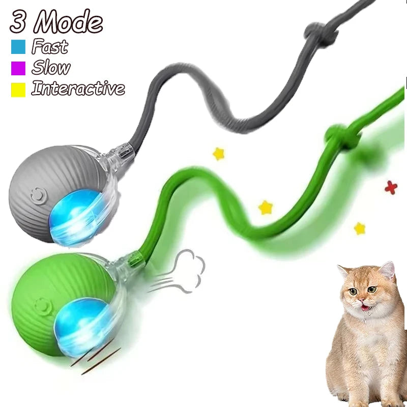 Rechargeable Cat Interactive Rolling Ball Toy Set - Smarsty