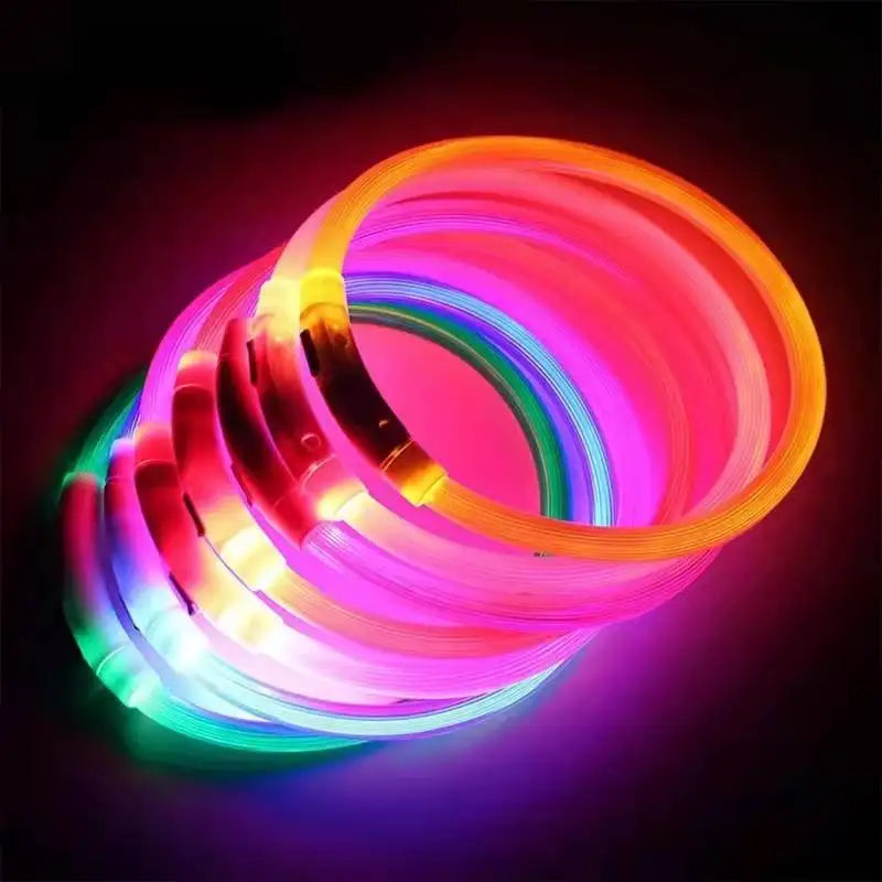 LED USB Dog Collar for Night Safety and Visibility - Smarsty