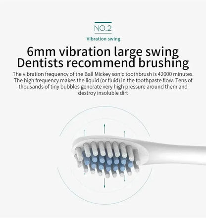 Electric Ultrasonic Toothbrush With Six Speed Modes - Smarsty