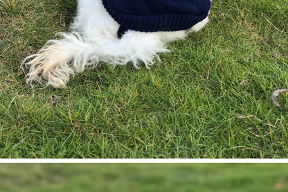 Warm Dog Coat for Small Dogs Winter Jacket - Smarsty