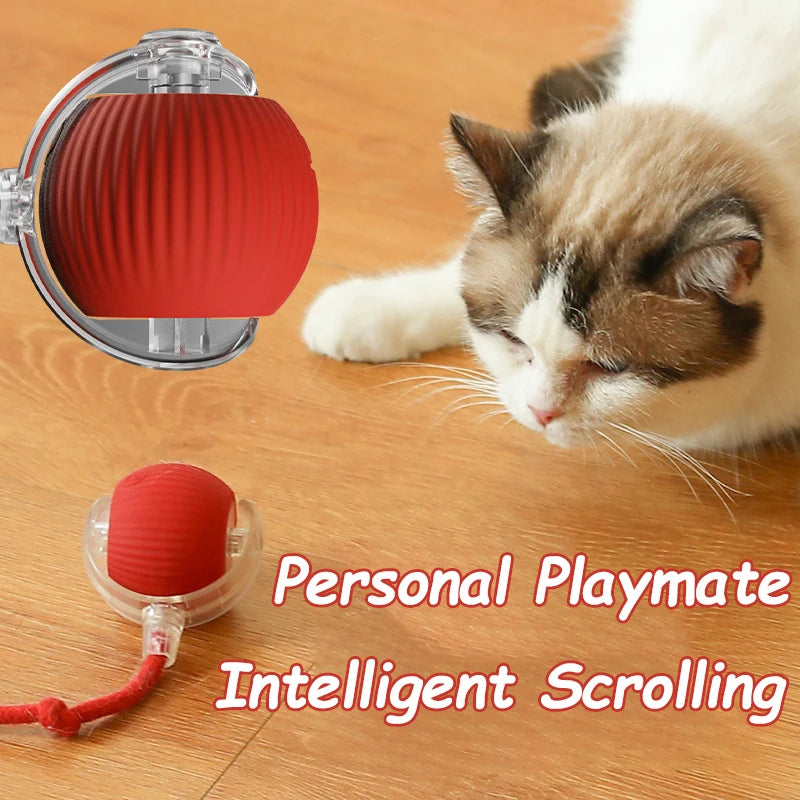 Interactive Rechargeable Cat Toy Ball With Faux Tail - Smarsty
