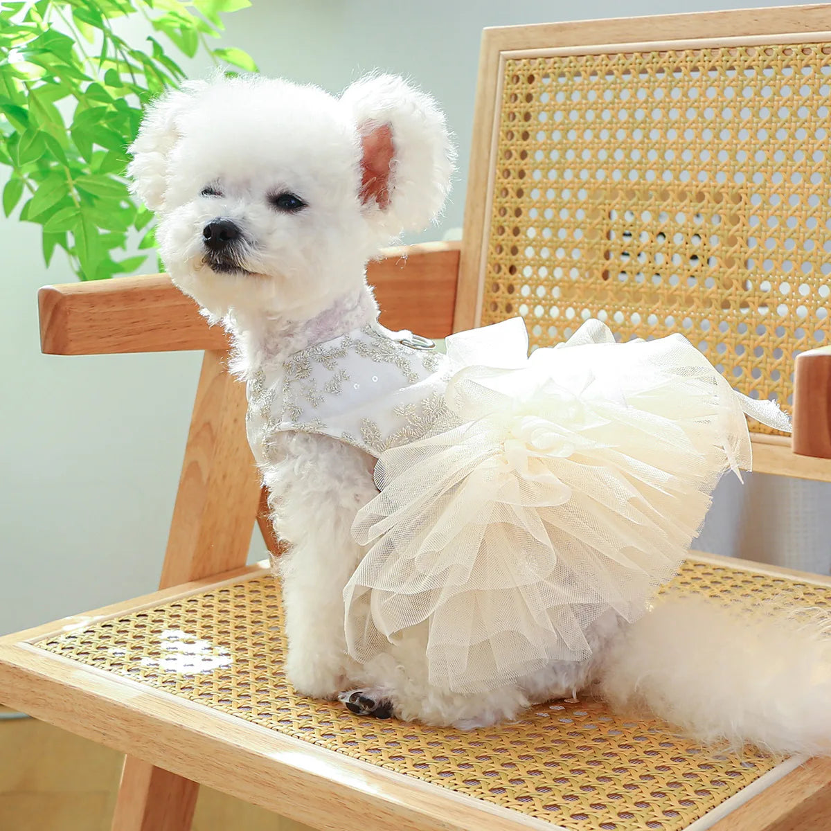 Breathable White Dog Wedding Dress for Spring Summer - Smarsty