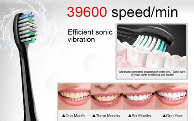 Sarmocare Electric Sonic Toothbrush with 8 Brush Heads - Smarsty