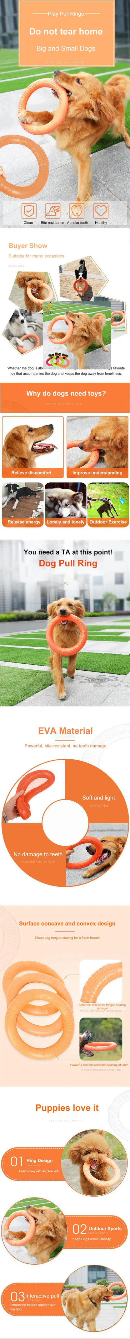 Interactive Dog Flying Disk Toy for Training - Smarsty