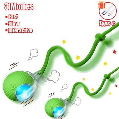 Interactive Rechargeable Cat Toy Ball With Faux Tail - Smarsty
