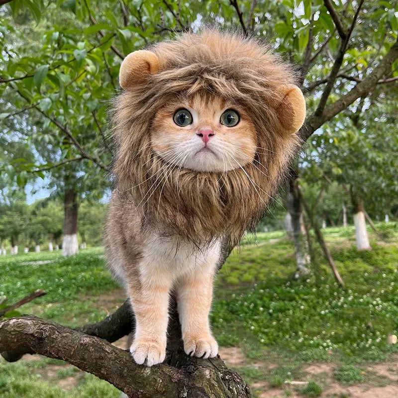 Lion Mane Wig Hat for Dogs and Cats - Smarsty
