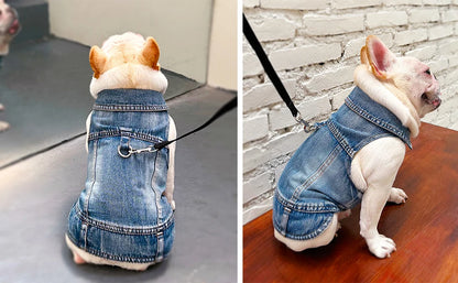 Dog Jeans Jacket for Small Dogs and Cats - Smarsty