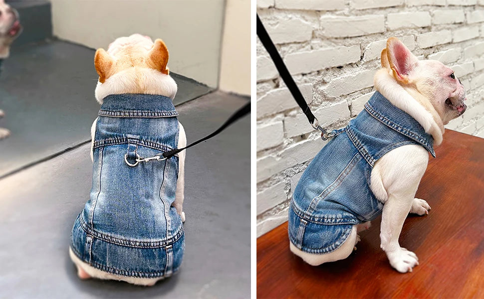 Dog Jeans Jacket for Small Dogs and Cats - Smarsty