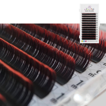 Glamlash Morandi Grey Colorful Individual Eyelash Extensions - Smarsty