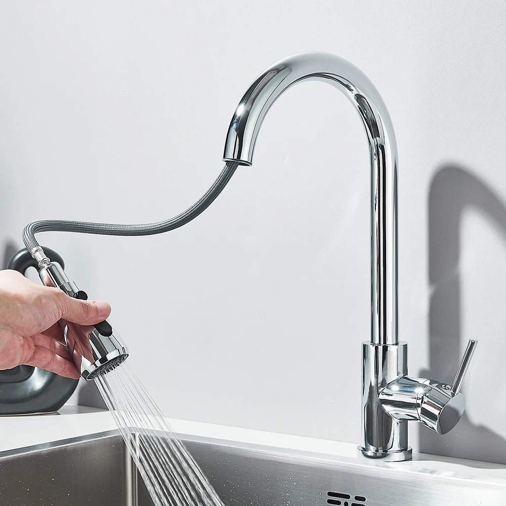 Rozin Chrome Kitchen Faucet with Pull Out Sprayer - Smarsty