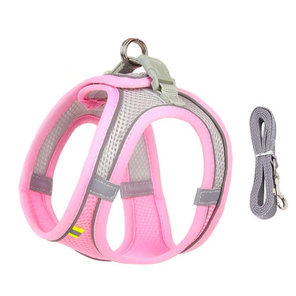 Adjustable Dog Harness Leash Set for Small Dogs - Smarsty