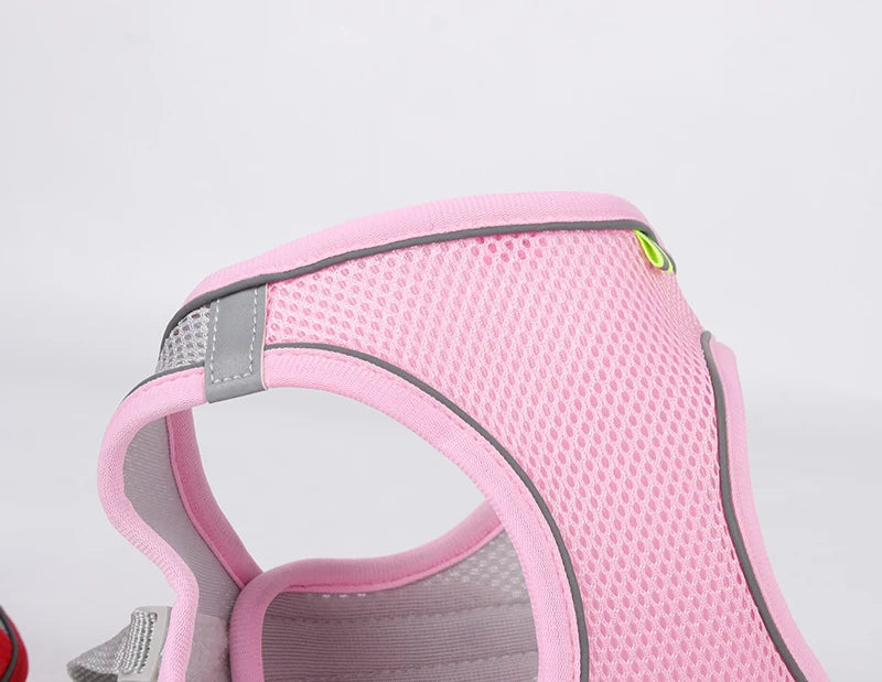 Adjustable Dog Harness Leash Set for Small Dogs - Smarsty