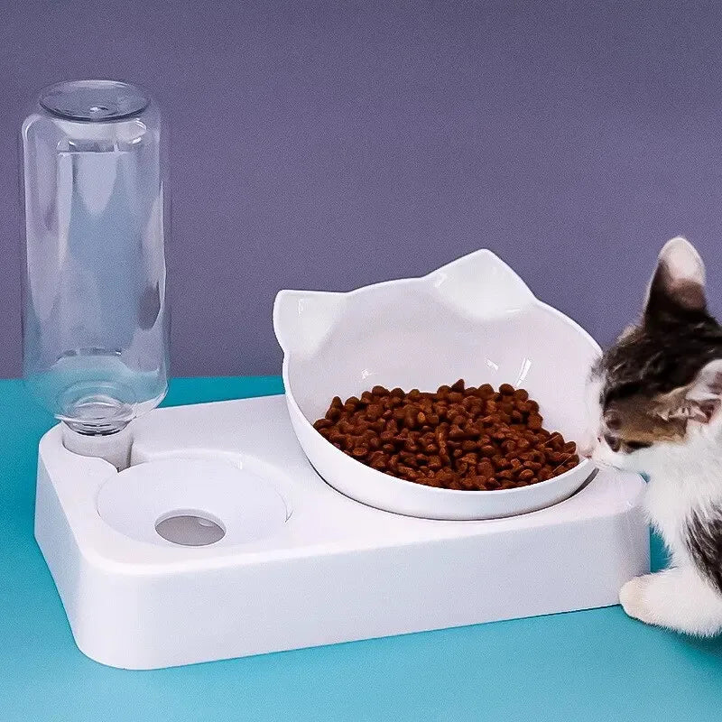 Tilted Pet Bowl for Healthy Feeding Angle - Smarsty