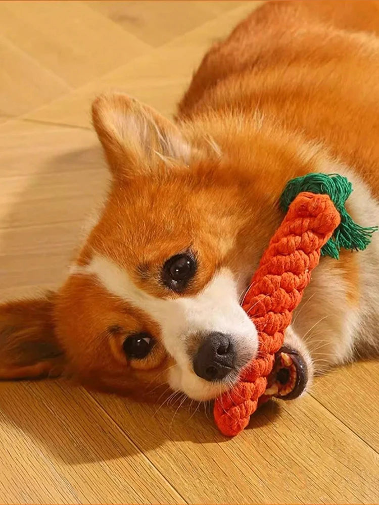 Hand-Woven Cotton Rope Dog Toy for Strong Chewers - Smarsty