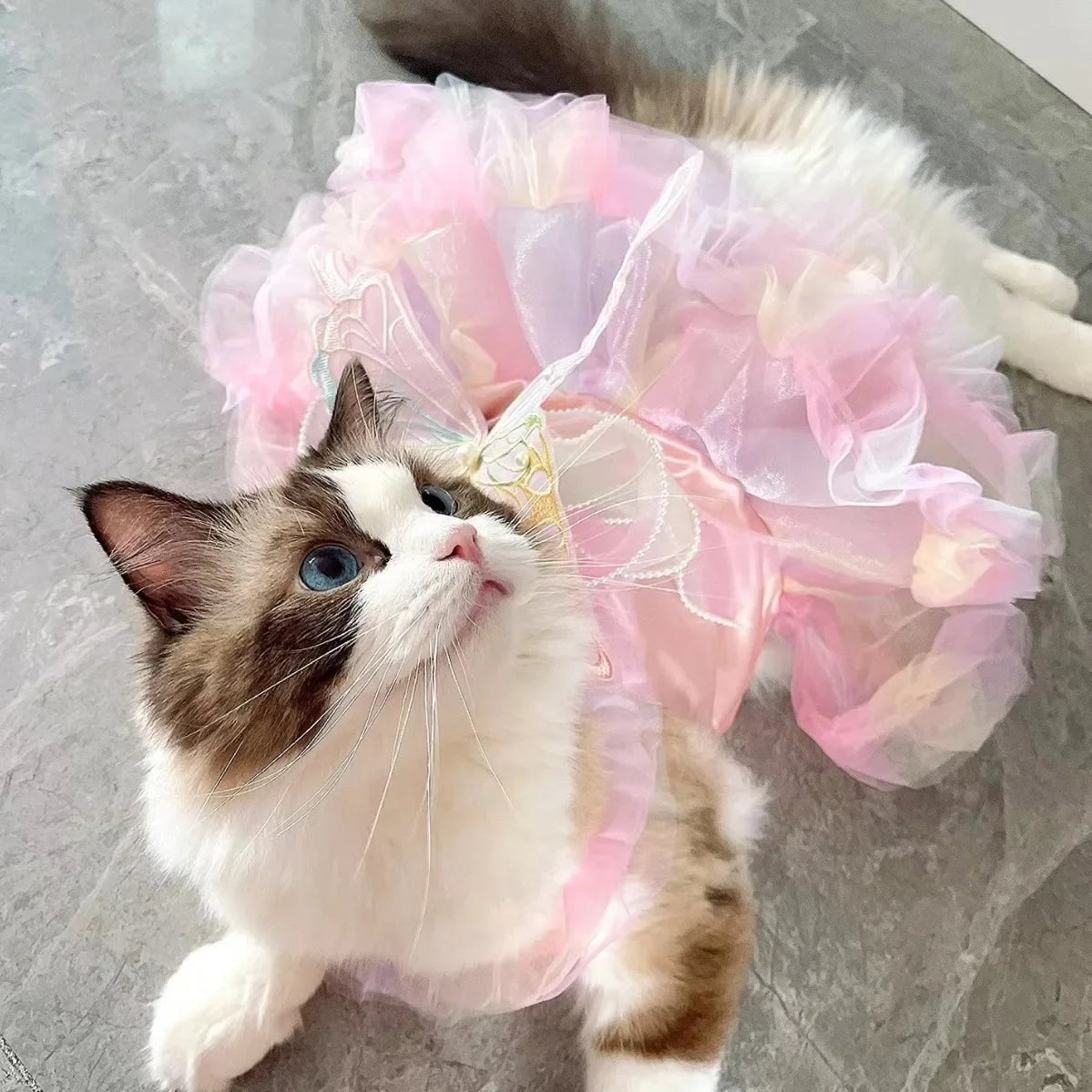 Princess Style Lace Skirt Dog Cat Dress - Smarsty