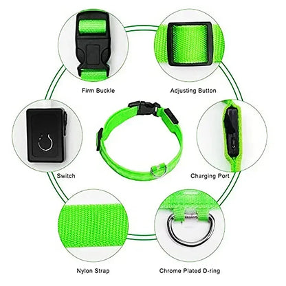 LED Glowing Dog Collar Adjustable Rechargeable Night Safety - Smarsty