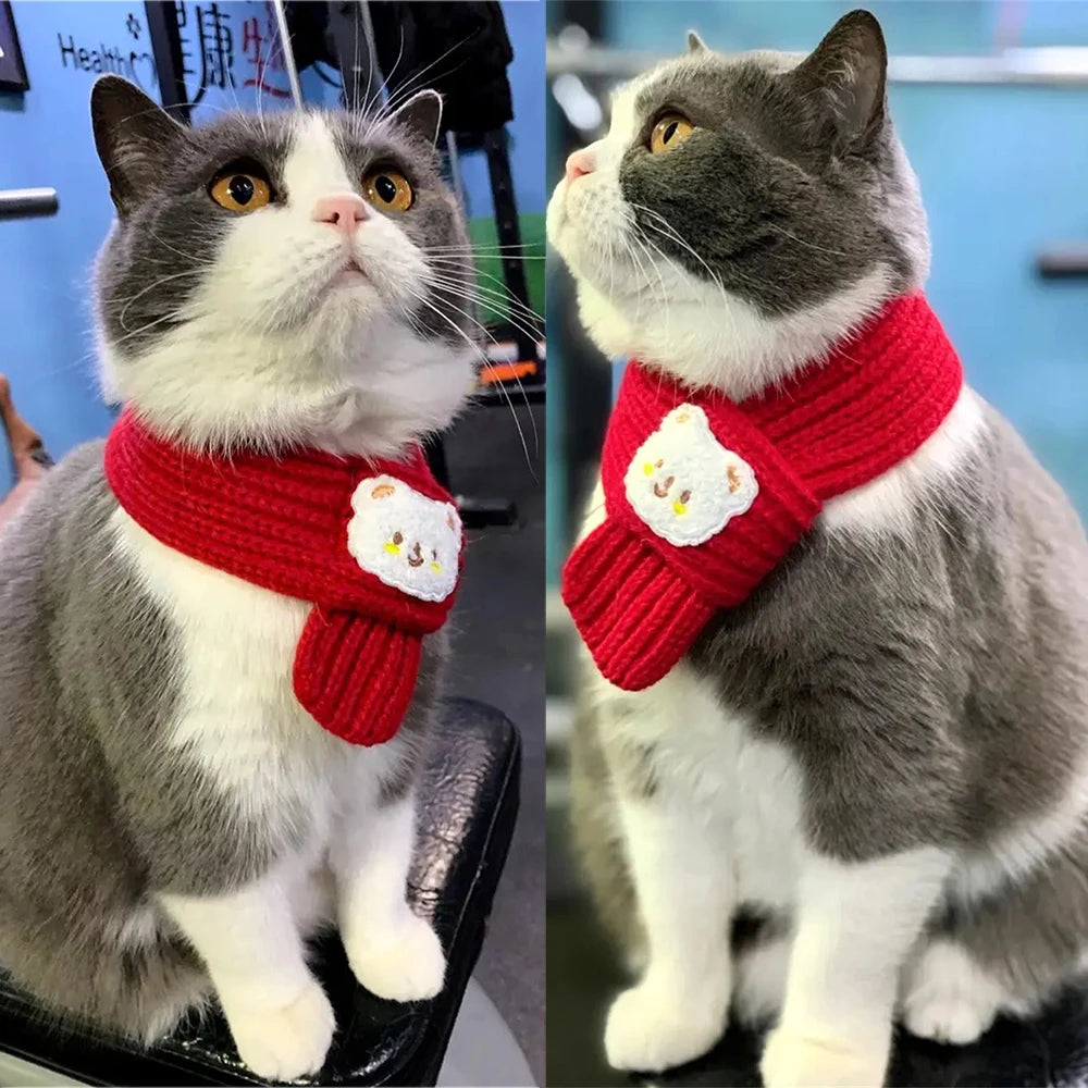 Cartoon Bear Print Scarf for Small Dogs and Cats - Smarsty