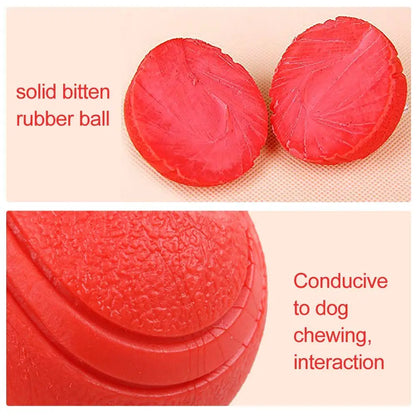 Hoopet Bite-Resistant Rubber Dog Ball Toy - Smarsty