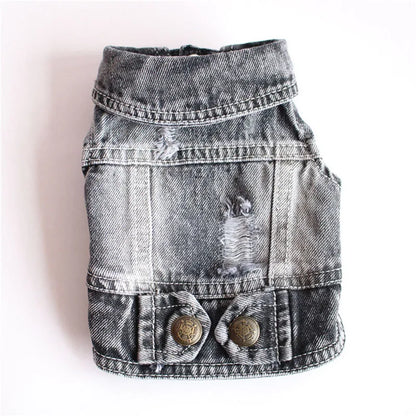 Cool Dog Jeans Jacket for Small Dogs Fashionable Style - Smarsty