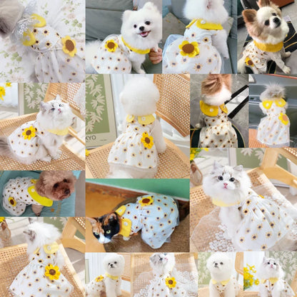 Cute Summer Dog Princess Dress with Bow Lace - Smarsty