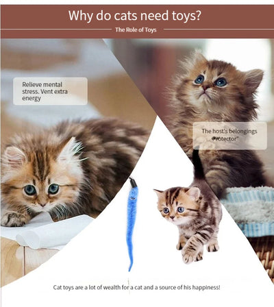 11pcs Replacement Cat Feather Toy Set Feather Replacement Head Retractable Cat Stick Cat Products - Smarsty