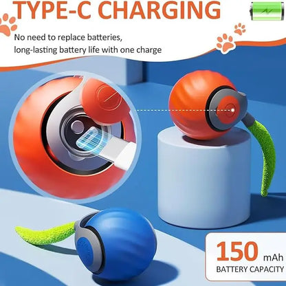 Interactive Electric Rolling Cat Ball Toy Rechargeable Fun - Smarsty