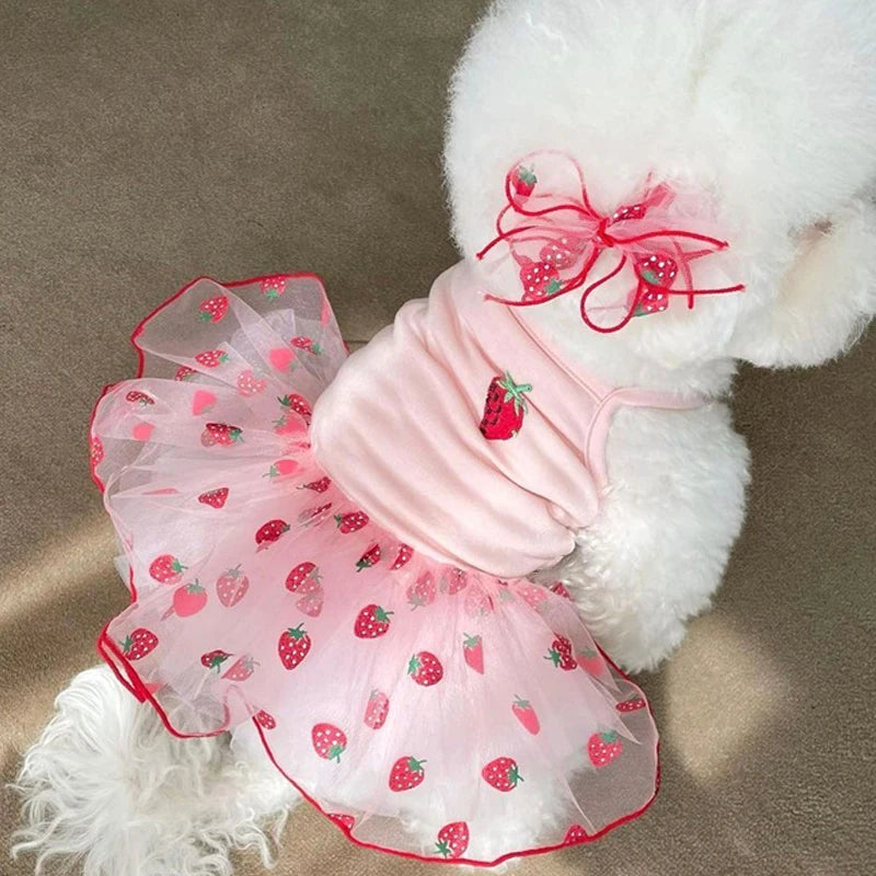 Cute Summer Dog Dress for Small Dogs - Smarsty