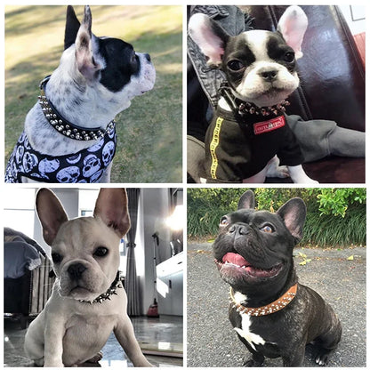 Adjustable Leather Dog Collar with Spikes for Small Pets - Smarsty