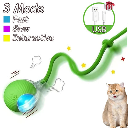 Rechargeable Cat Interactive Rolling Ball Toy Set - Smarsty