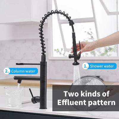 Chrome Brass Kitchen Faucet with Pull Out Spray - Smarsty